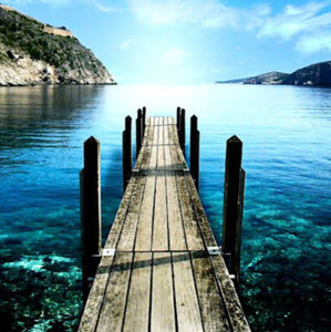 Meet your Posher, Krisha